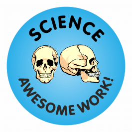 Science Awesome Work Stickers