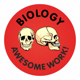 Awesome Work Reward Stickers - Biology