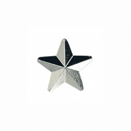 Silver Star Badge