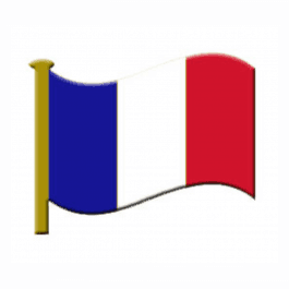 Lapel Badge - French Flag