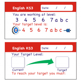 English KS3 Teacher Assessment Stickers