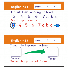 English KS3 Pupil Assessment Stickers