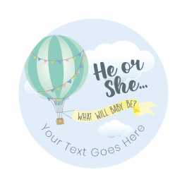 Air Balloon He or She Stickers