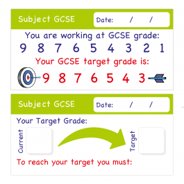 GCSE 1-9 Assessment Stickers