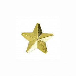 Gold Star Badge