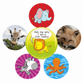 NQT Bumper Pack - Animal Themed Stickers