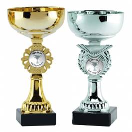 Cup Trophy - Silver Cup Design