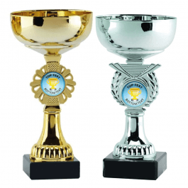 Cup Trophy - Blue Gold Cup Design
