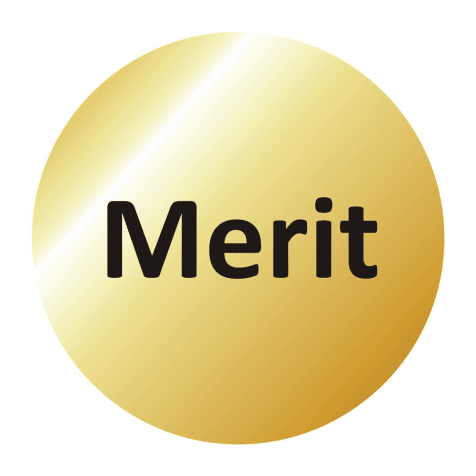 19mm Gold Merit Stickers