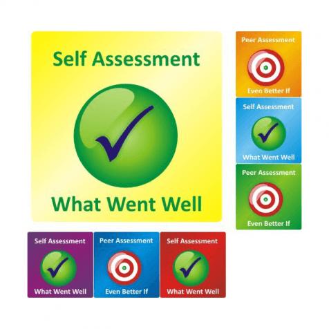 Self/Peer Assessment Stickers