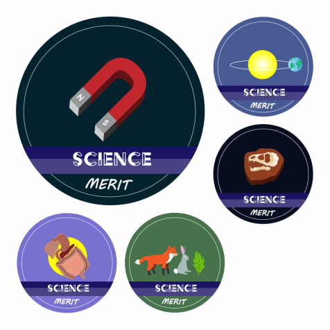 Science KS1 and KS2 Curriculum Stickers