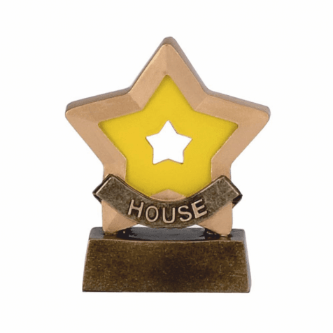 Yellow House Mini Star Trophy