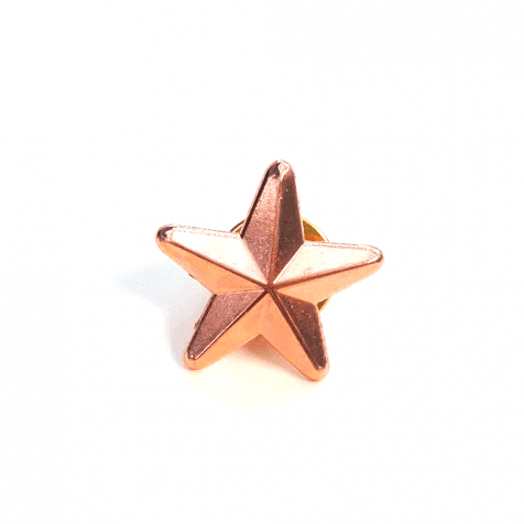 Bronze Star Badge