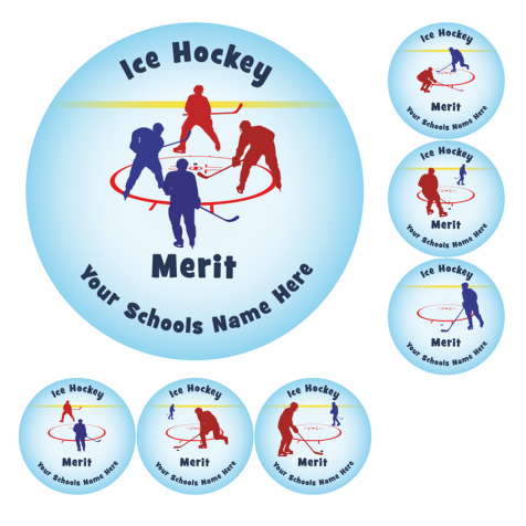 Hockey Merit Stickers