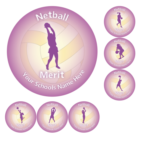Netball Merit Stickers