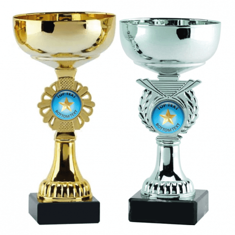Cup Trophy - Blue Gold Star Design