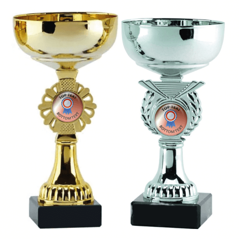 Cup Trophy - Bronze Rosette Design